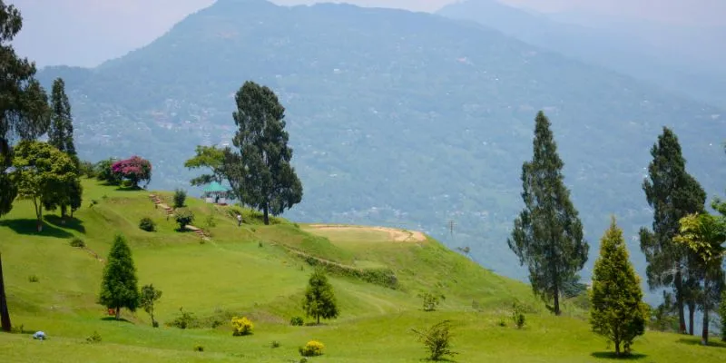 The scenic tea gardens of Darjeeling
