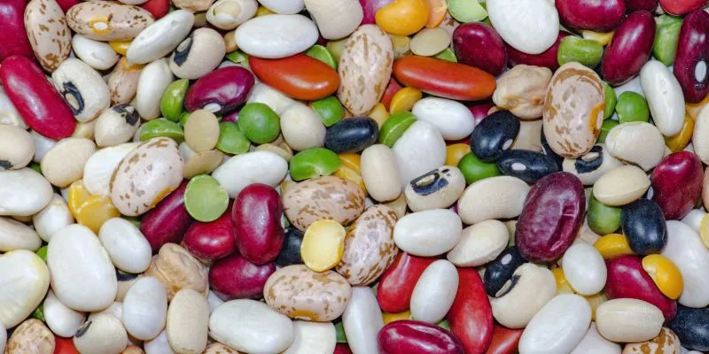 A variety of grains and nuts, which are high in phytic acid