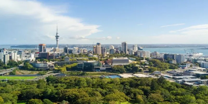 New Zealand landscape view