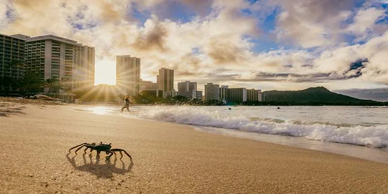 Honolulu Beach View