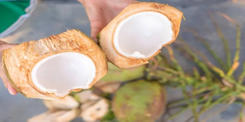 Homemade Coconut
Milk
