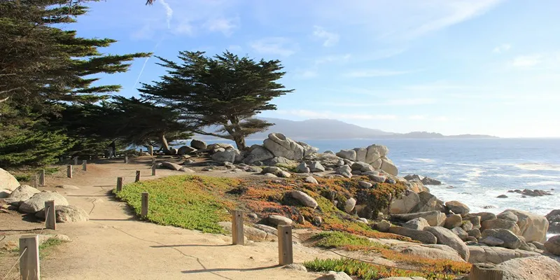 Beautiful coastline at Patrick’s Point State
Park