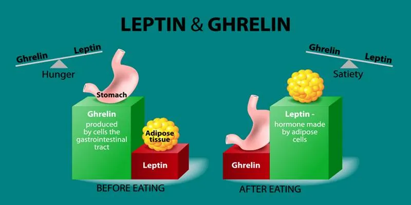 Healthy Hormones