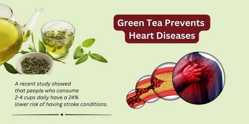Heart health benefits of green
tea
