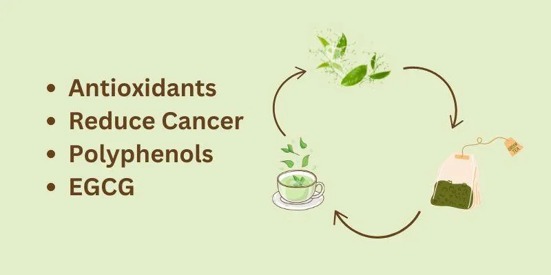 Green tea antioxidants