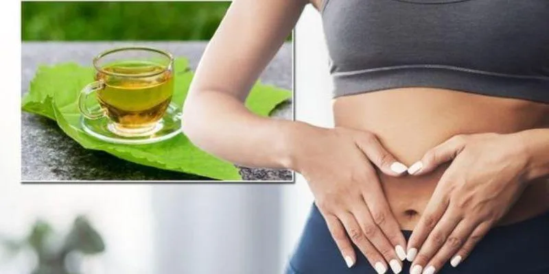 Green tea for gut
health