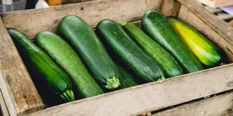 Fresh zucchini on a cutting board