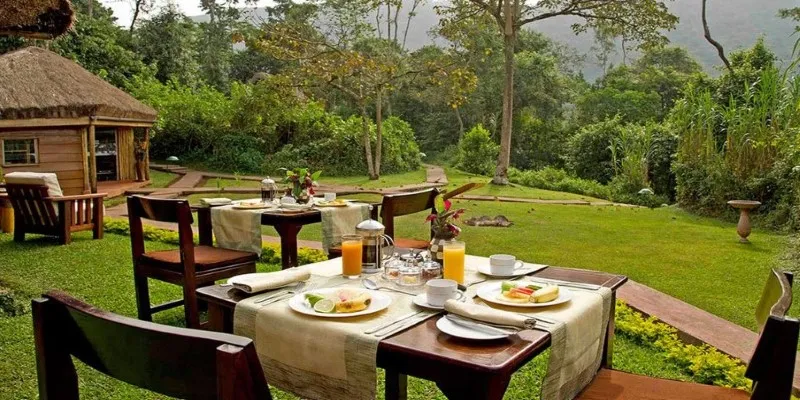 Gourmet Dining at Gorilla Forest
Camp