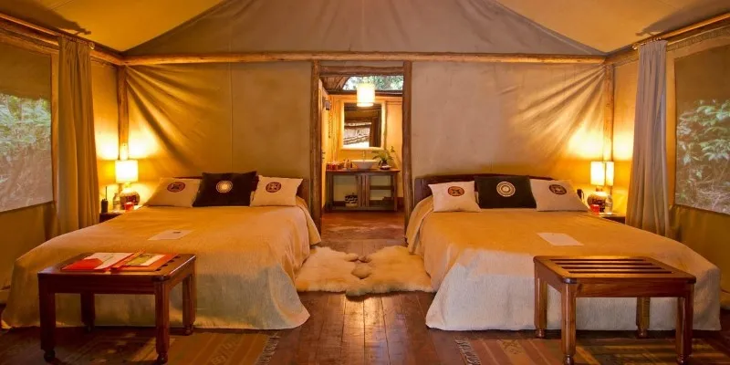 Luxury Tent at Gorilla Forest
Camp