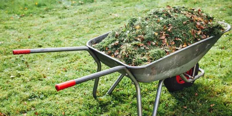Garden debris for
composting