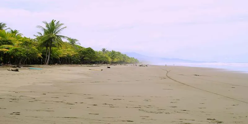 Beautiful Beach in Costa
Rica
