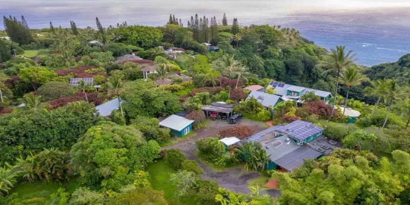 Rainforest retreat Airbnb in Maui surrounded by lush
greenery.