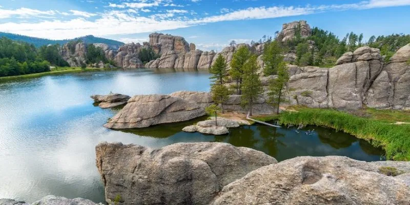 Custer State Park Landscape