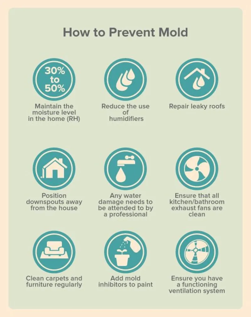Preventing mold growth in
home