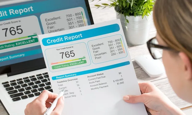 Credit Report Analysis