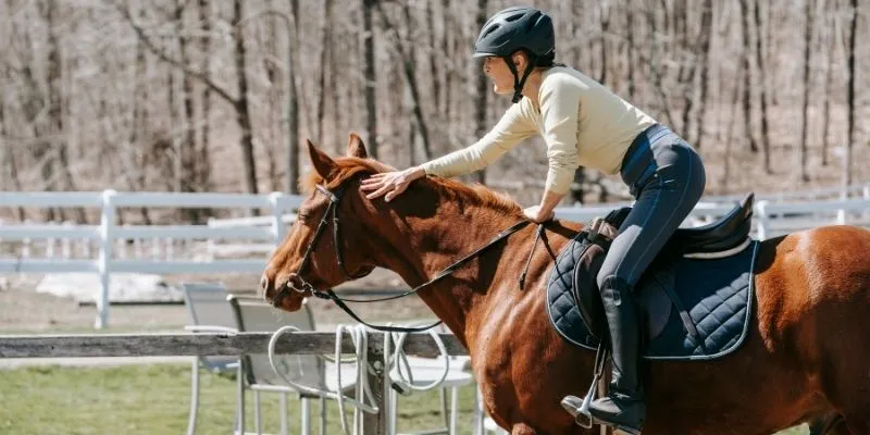 A scenic view from horseback, depicting the joy of riding in nature