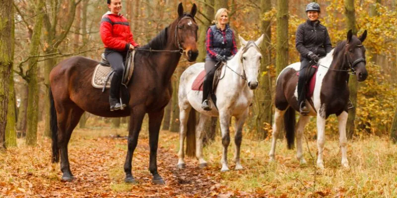 A person riding a horse, illustrating the connection between rider and horse