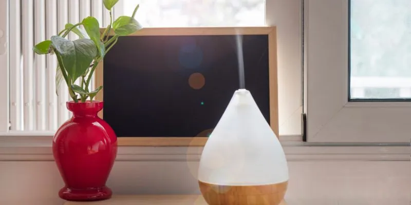 Humidifier with mist