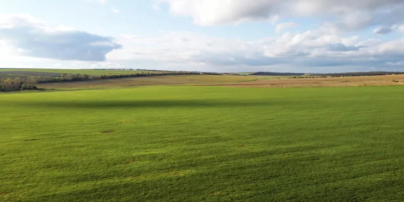 Vacant land landscape