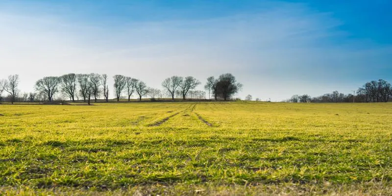 Land zoning
considerations