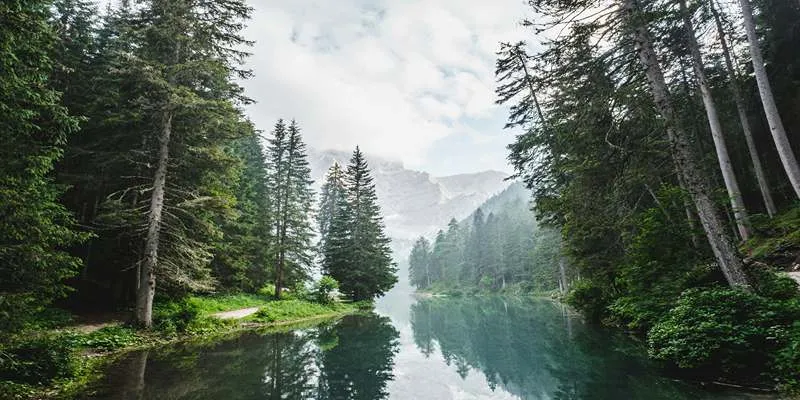 Scenic view of Lake of the Four
Cantons