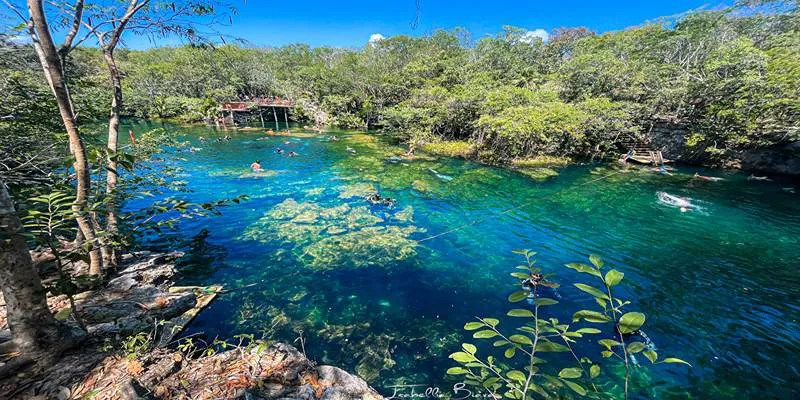 Cenote Ponderosa with lush jungle
surroundings