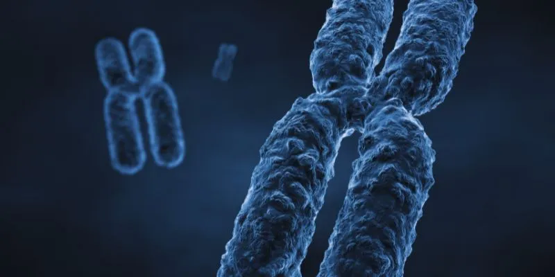 Diagram illustrating genetic causes of Angelman
syndrome